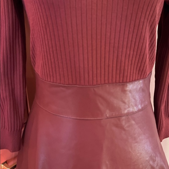 Shoshanna Alexa Dress - Picture 6 of 13